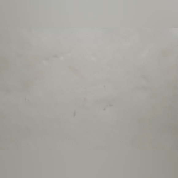 NWOT Steve Madden Kayla box bag with drawstring pouch. Bone color. - Picture 15 of 15